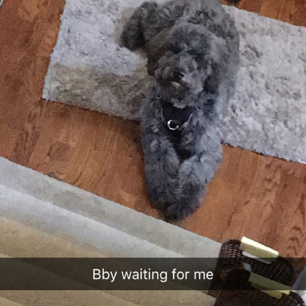 Meet your Posher, Amani